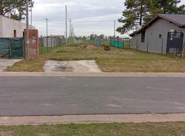 Terreno · 375m² · Lote en Venta en Nueva Zelaya, Pilar 375 m²