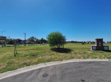 Terreno · 705m² · Terreno en Village Joven