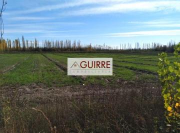 Campo , Goudge · Oportunidad de Inversión "Finca de 100ha" en Goudge - San Rafael - Mendoza