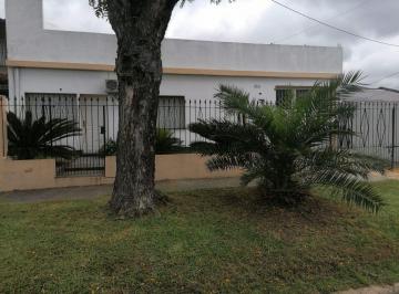Departamento de 2 ambientes, Tigre · Departamento Alquiler Troncos de Talar Tigre