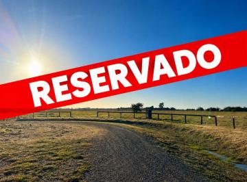 Terreno , Cañuelas · Lote de 11.000 m² en Chacras de La Trinidad | Financiación Disponible