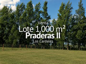 Terreno · 1000m² · Terreno en Venta, Praderas 2, Los Cardales