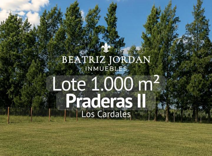 Terreno · 1000m²