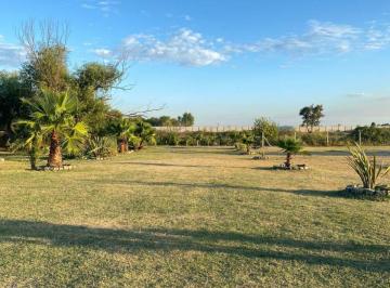 Terreno · 5000m² · Terreno - Benavidez