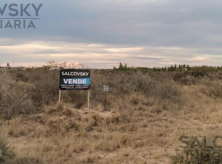 Terreno · 10000m²
