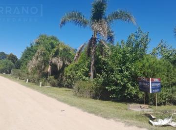 Terreno · 706m² · Venta de Terreno con Mejoras 706,38 m², Calle Moreno Al 600, Parque Sakura, Exaltación de La Cruz