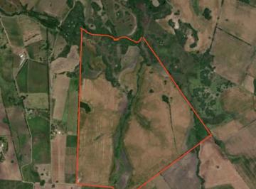 Campo · 920000ha · Venta Campo 92 Hect en Colonia
