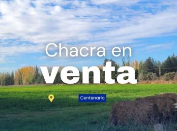 Campo · 50000m² · Venta Chacra 5 Ha Centenario