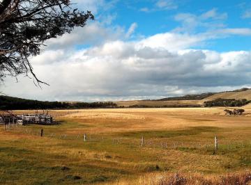 Campo · 480ha · 11 Ambientes · 4 Cocheras · Establecimiento Agropecuario en Cordillera Santa Cruz