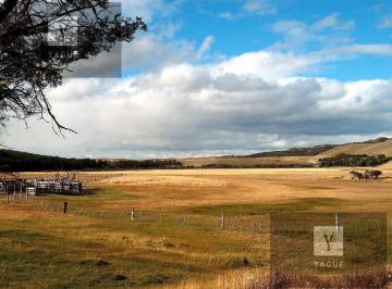 Campo · 480ha · 11 Ambientes · 4 Cocheras · Establecimiento Agropecuario en Cordillera Santa Cruz