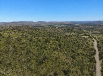 Campo · 420000m² · San Fco. del Monte de Oro 42 Ha