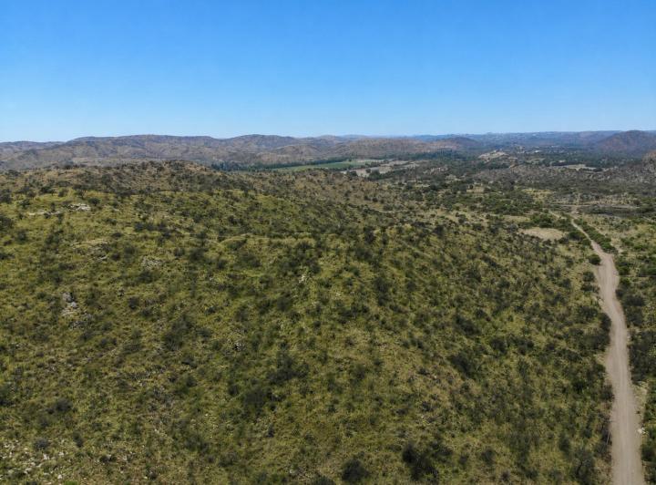 Campo · 420000m²
