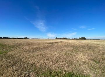 Terreno · 440m² · En Venta Gran Oportunidad Terreno 440 m² Campos de Amelia