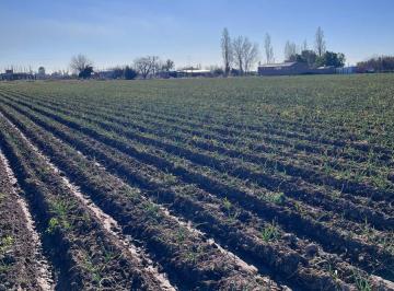Campo , Maipú · Finca en Venta