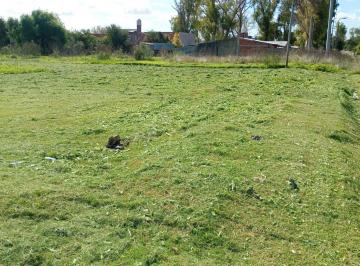 Terreno · 337m² · Lote en Venta - San Carlos