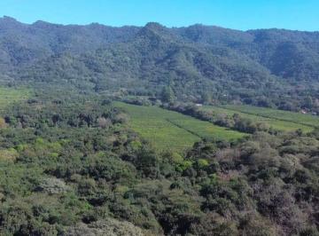 Terreno , Yerba Buena · Venta | Ha | Yerba Buena