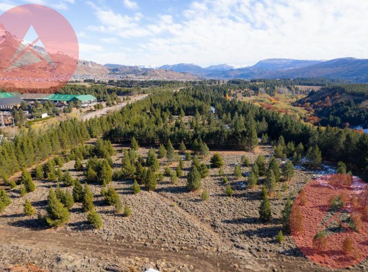Terreno · 11750m²
