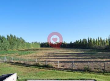 Terreno · 356m² · 9 Ambientes · 2 Cocheras · Venta 5 Hectáreas con Chalet en Centenario