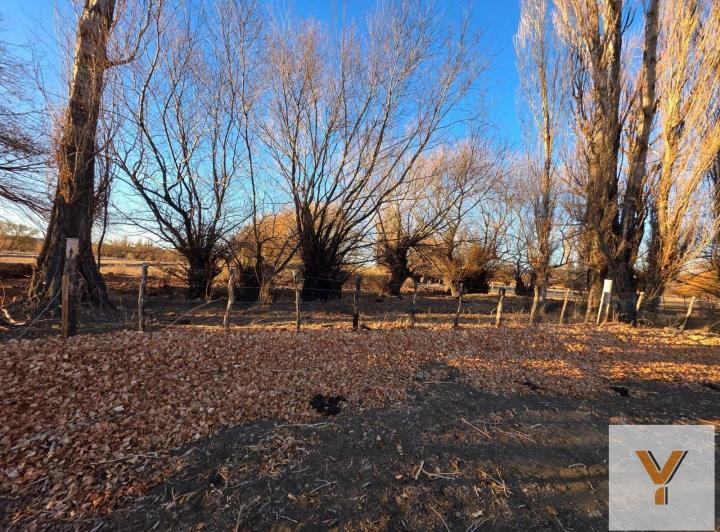 Campo · 24m²