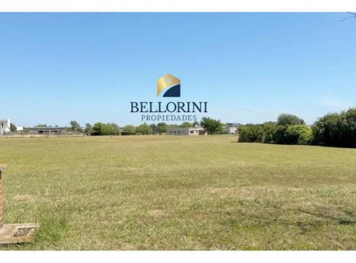 Terreno · 981m² · 1 Ambiente