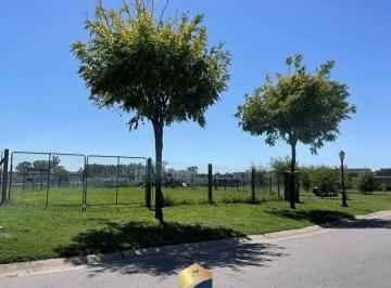 Terreno · 556m² · 1 Ambiente · Lote Central en Venta en San Pablo, Pilar | Excelente Ubicación