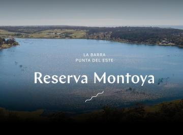 Terreno · 1003m² · Terreno en Venta de 1.003 m² - Punta del Este