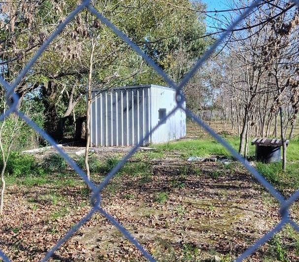 Local comercial · 800m²