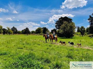 Terreno , Exaltación de la Cruz · Terreno Venta 50000 m² Gas Luz Fibra Óptica en El Remanso Exaltación de La Cruz