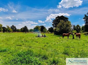 Terreno , Exaltación de la Cruz · Terreno Venta 50000 m² Gas Luz Fibra Óptica en El Remanso Exaltación de La Cruz