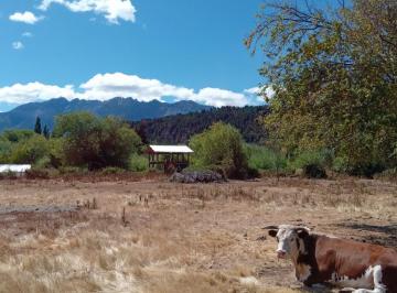 Terreno · 1800m² · Terreno de 1800 m² Lago Puelo Todos Los Servicios Usd 37.000