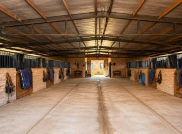 Terreno · 300m² · Caballeriza en Venta en San Jorge Chico, General Rodríguez, G. B. a. Zona Oeste, Argentina