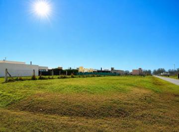 Terreno · 664m² · Lote en Don Mateo