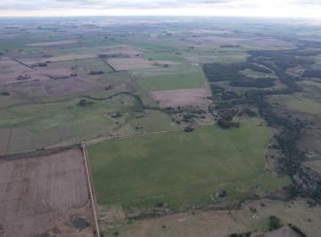 Campo · 2780000ha · Campo de Aptitud Agrícola con Excelente Ubicación en Colonia