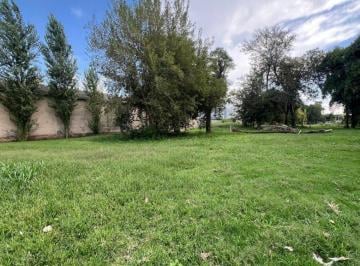 Terreno · 383m² · Lote en Tejas de La Calendaria - Tejas del Sur II