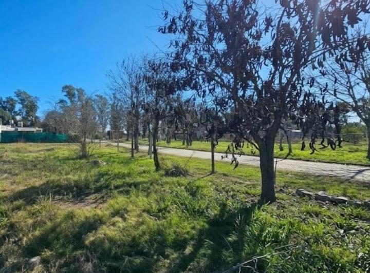 Terreno · 350m²