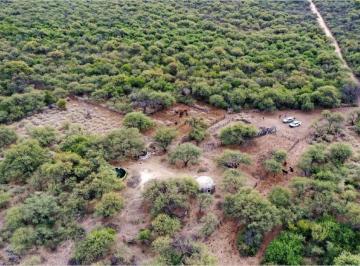 Campo · 70ha · Campo Ganadero en Venta a 70 Kms de Villa Dolores