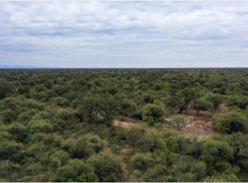 Campo · 12800000ha · Campo Ganadero a 70 Kms de Villa Dolores, Balde de La Mora