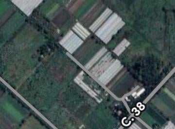 JSP-JSP-5229_2 · Campo 6.70 Hectáreas |. | 217