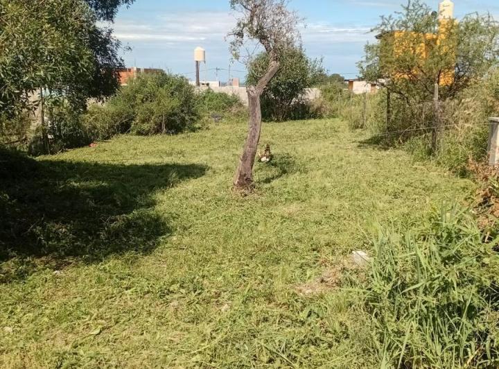 Terreno · 300m²