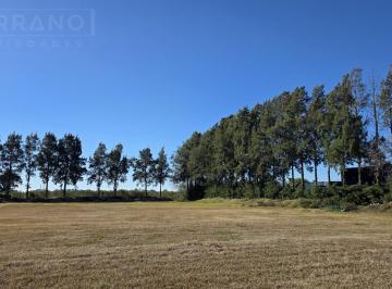 Terreno · 1500m² · Ldo Venta Lotes 1500 m² Gas Natural Electricidad Agua Corriente Barrio Los Pinos