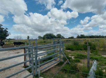 Terreno · 110000m² · Venta de Campo de 11 Hectáreas en El Casal
