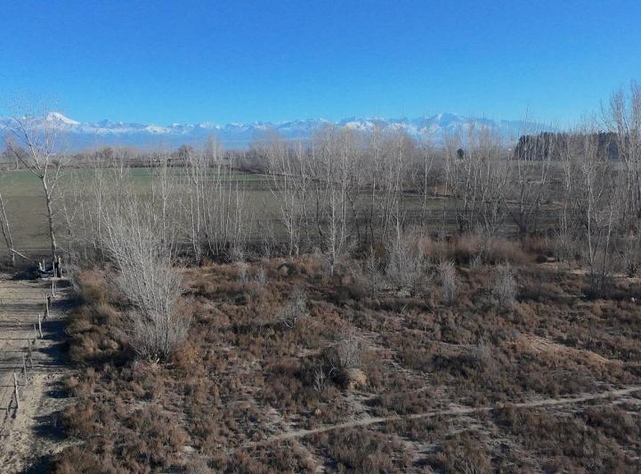 Campo · 4ha