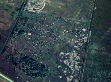 Campo · 140000ha · Campo en Funes