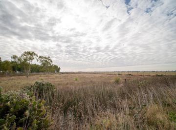 Campo · 140000ha · Campo en Funes