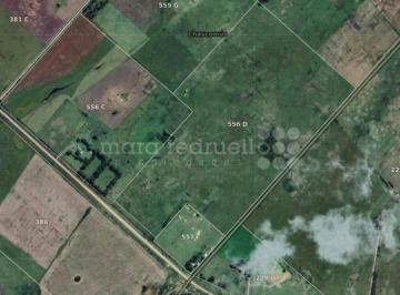 MRE-MRE-2369_2 · Campo Chacra en Venta de 54 Ha en Chascomus Ruta 20