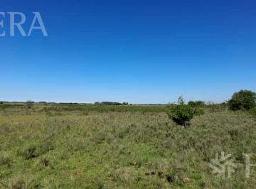 Campo · 490000ha · Venta Campo de 49 Ha en La Plata