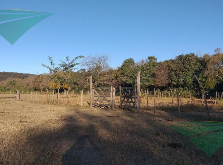 Campo · 77000ha