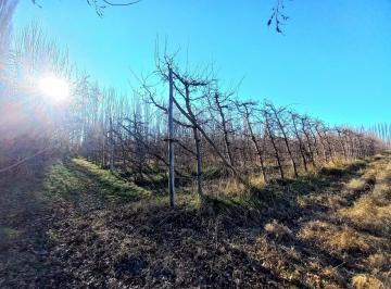 Campo · 10000m² · Chacra 1 Hectárea, a 1 Km de Ruta 7