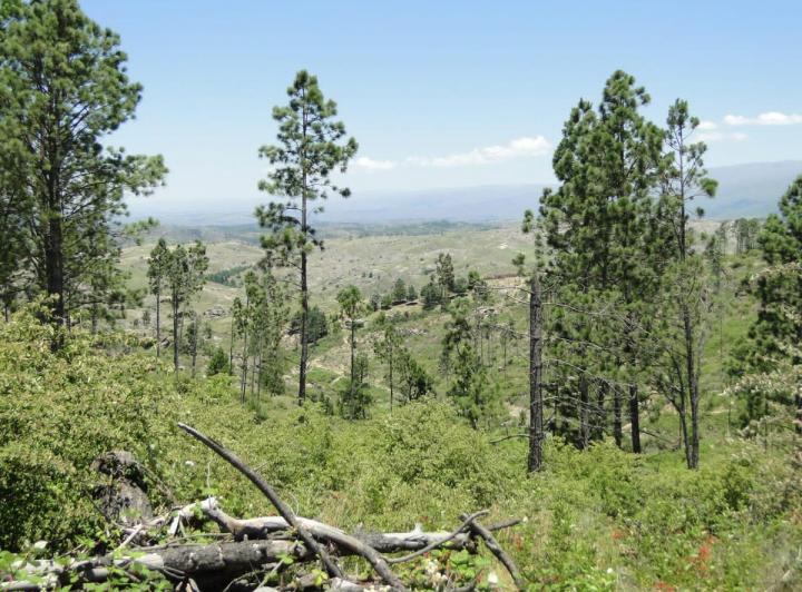 Terreno · 2ha