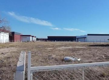 Terreno · 6462m² · Lote en Alquiler Polo 52 Alambrado
